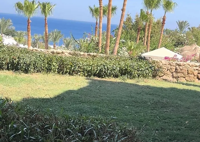 La Casa Di Chloe Sheik Domina Coral Bay 4*