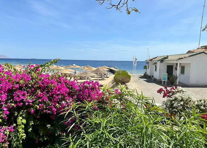La Casa Di Chloe Sheik Domina Coral Bay Apartmanhotel 4*