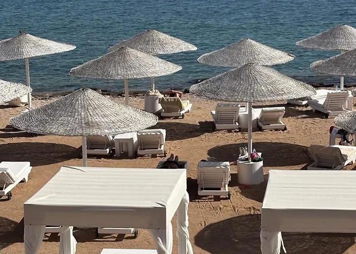 Apartmanhotel La Casa Di Chloe Sheik Domina Coral Bay 4*